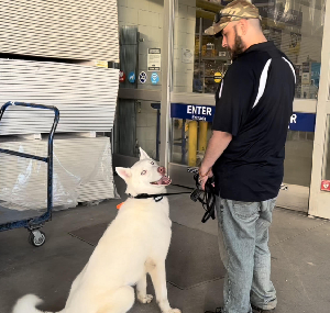 Chris Hill — Off Leash K9 Training of Lafayette
