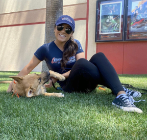 Moe Camarena — Off Leash K9 Training of Lafayette